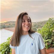 Doy clases económicas de cualquier asignatura de Educación Primaria o ESO